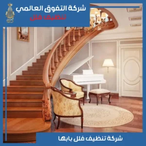تنظيف فلل بابها