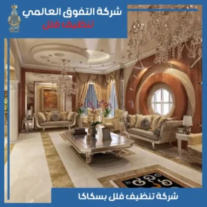 تنظيف فلل بسكاكا